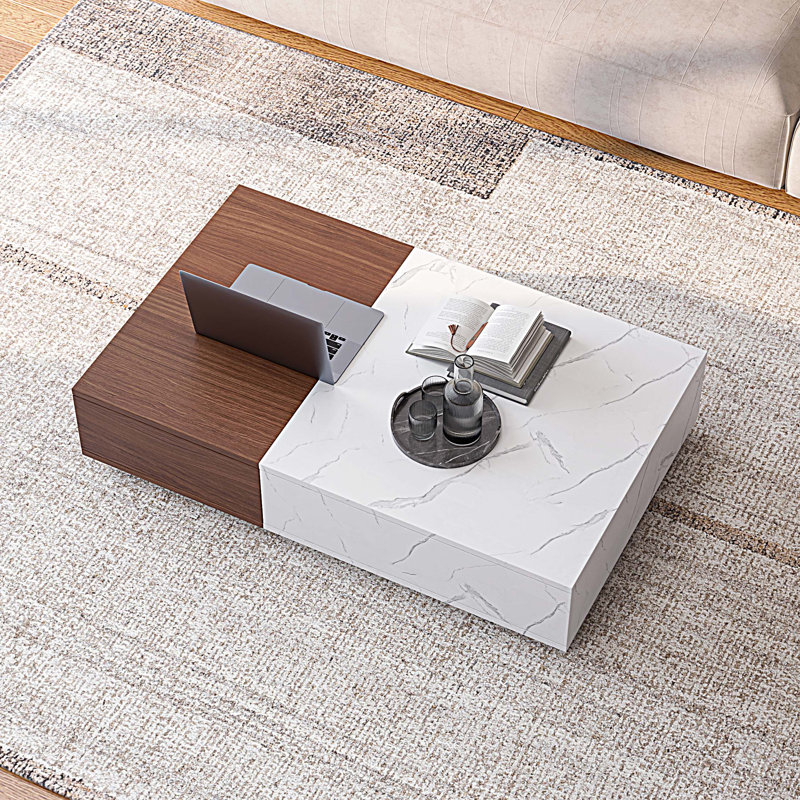 Table basse moderne avec deux espaces de rangement
