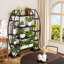 Plant Stand with Grow Lights 
