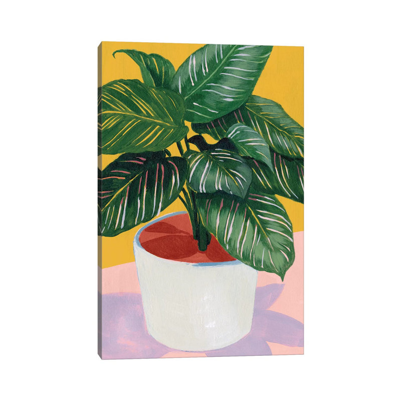 Calethea I by Grace Popp - Gallery-Wrapped Canvas Giclée on Canvas, No Frame, 20.32 cm H x 30.48 cm W