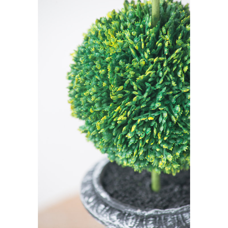 15.7'' Faux Boxwood Topiary in Pot