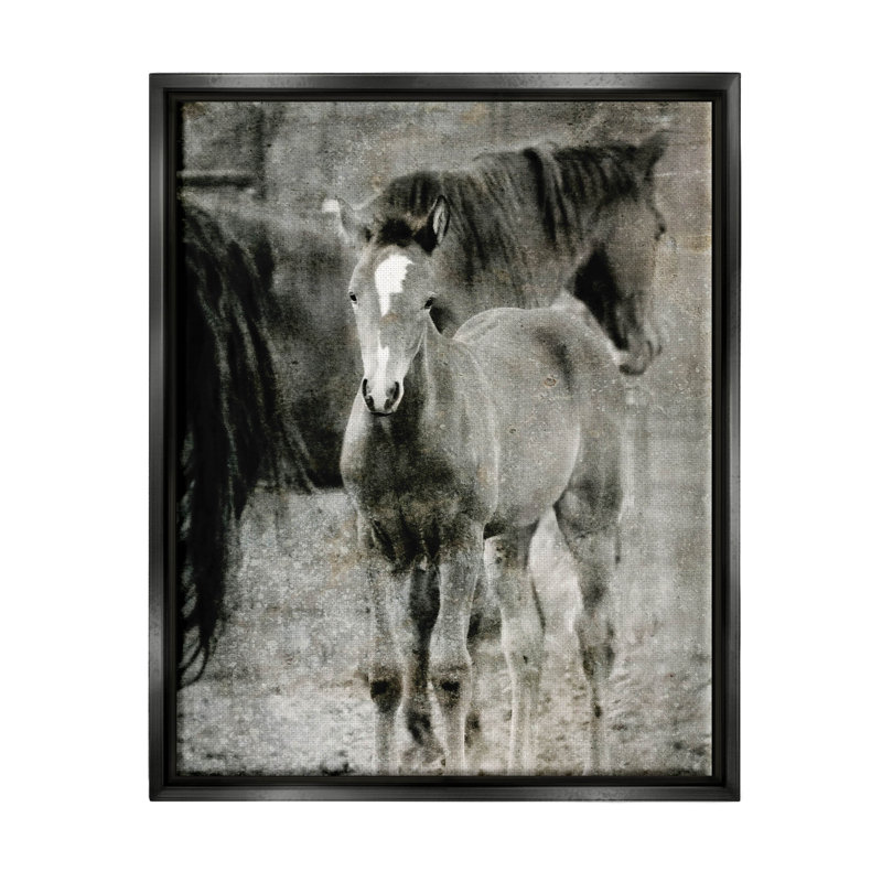 «Vintage Foal Horse Farmland - Floater Frame», impression sur toile, Cadre flottant noir de jais