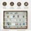 Display Cabinet