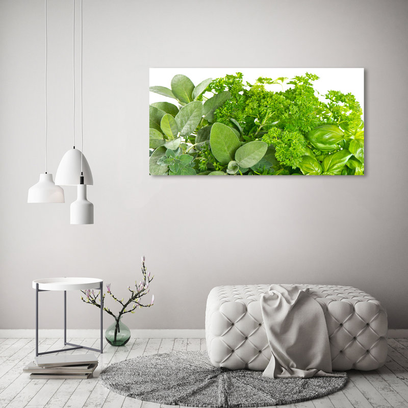 Herbs - Wrapped Canvas Print