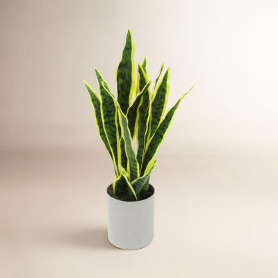 Artificial Sansevieria Snake Plant in Pot