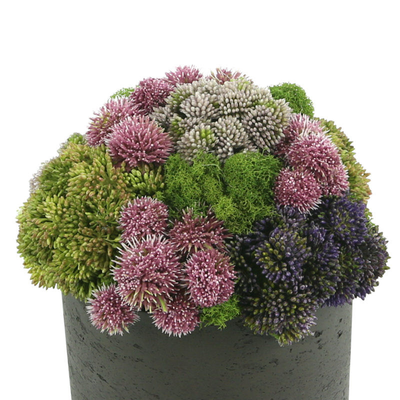 Assorted Sedum Arranged In A Fiberstone Vase, Black