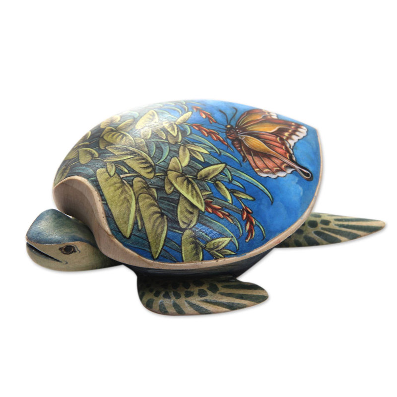 Boite de présentation tortue