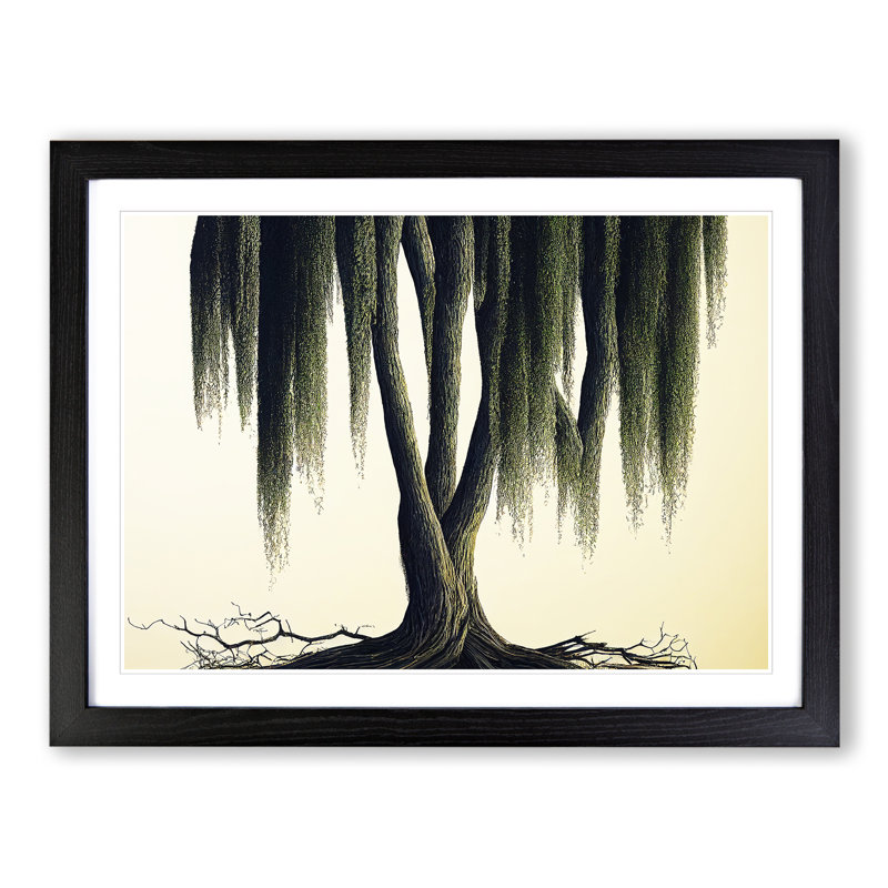 Sensational Weeping Willow Tree - Framed Print, Black, 46cm H x 64cm W x 2cm D