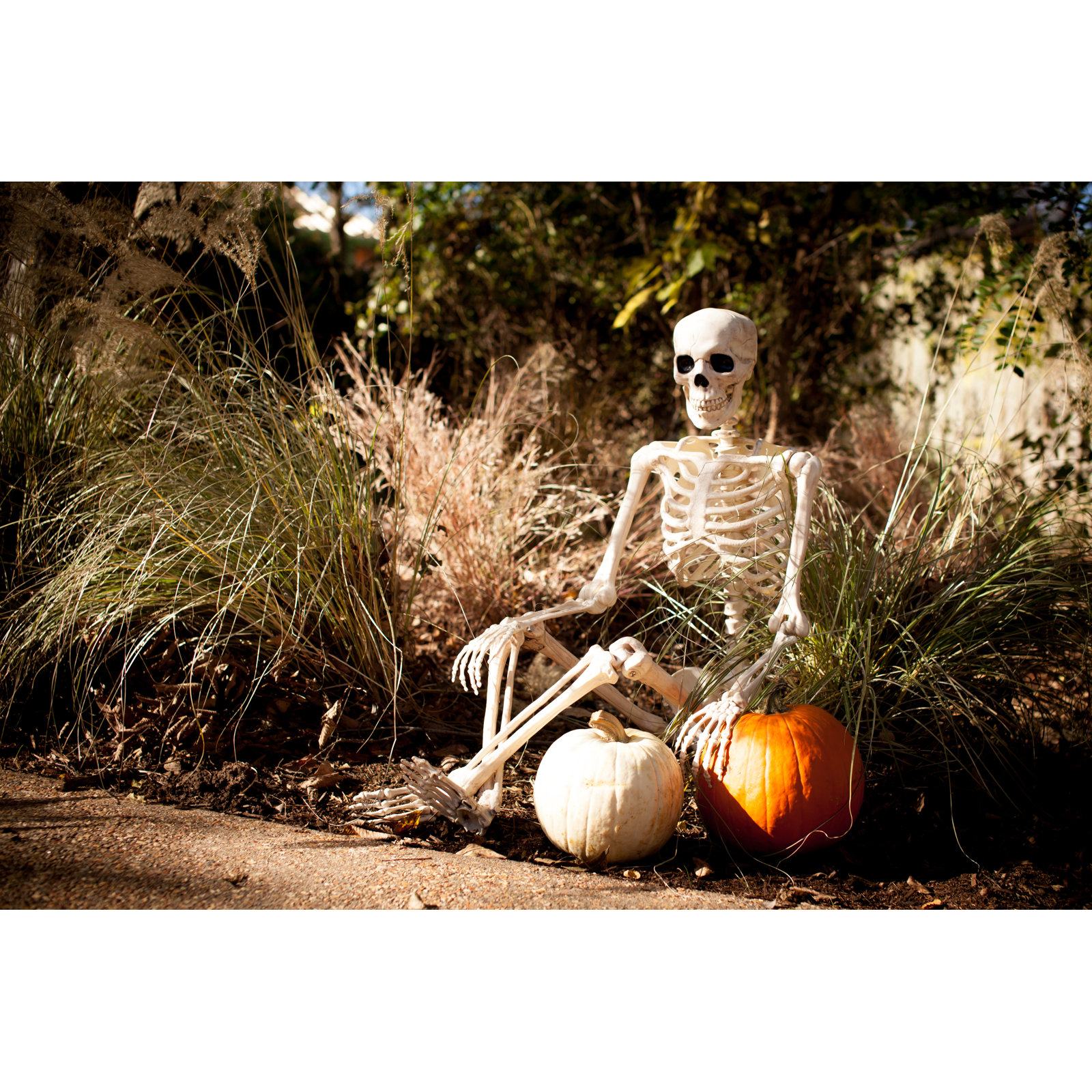 Pose-N-Stay Halloween Skeleton
