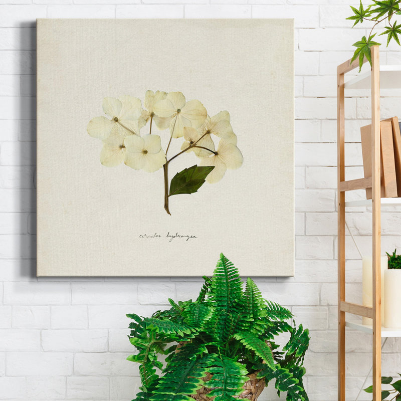 Cornales Hydrangea II-Premium, toile tendue avec châssis - prête à être accrochée, H 32 po x l 32 po x P 1 po