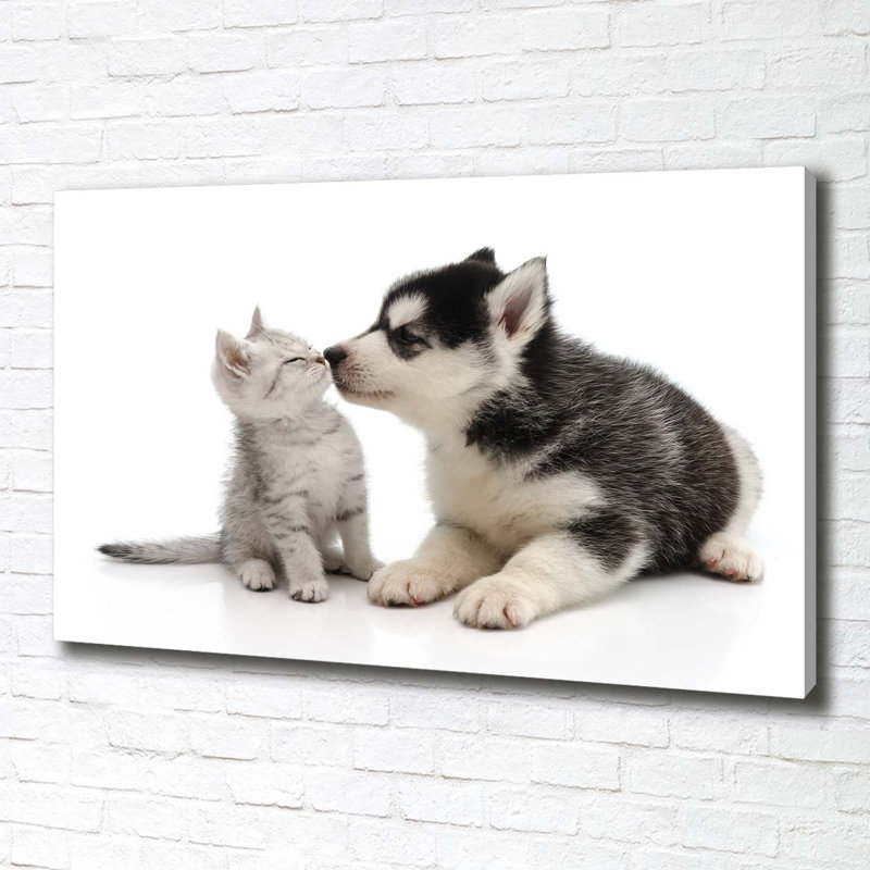 Dog And Cat - No Frame Print on Canvas