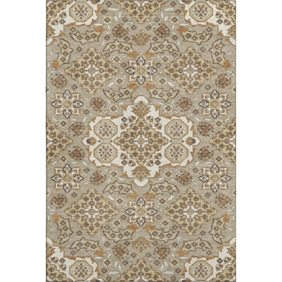 Premium Machine Washable Crestover AMF1853 Global Rug