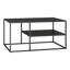 Elenna Frame Coffee Table with Storage-148072514