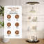 Display Case-128768454