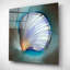 «Clam Shell Glow» par Louise Montillio-226816335