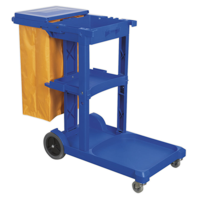 Neasa 99.5cm H x 47cm W x 117cm D Janitorial Platform Trolley