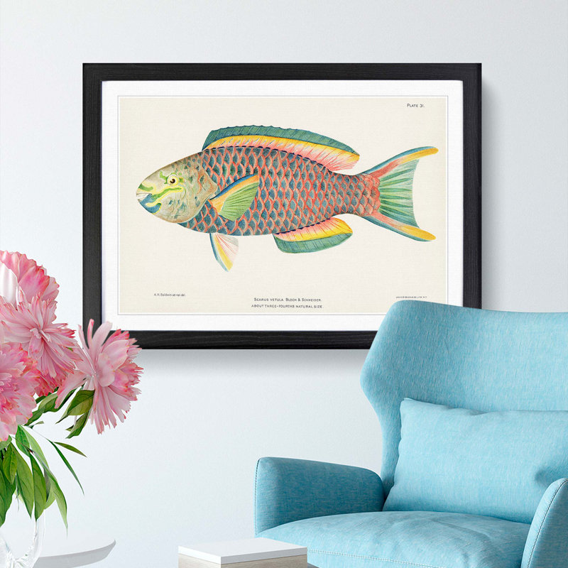 Tropical Fish by Henry Baldwin - Picture Frame Painting Print, 27cm H x 36cm W x 2cm D, Black Framed