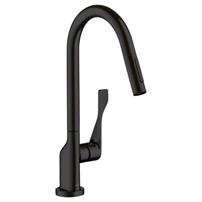 Citterio Pull Down Single Handle Kitchen Faucet
