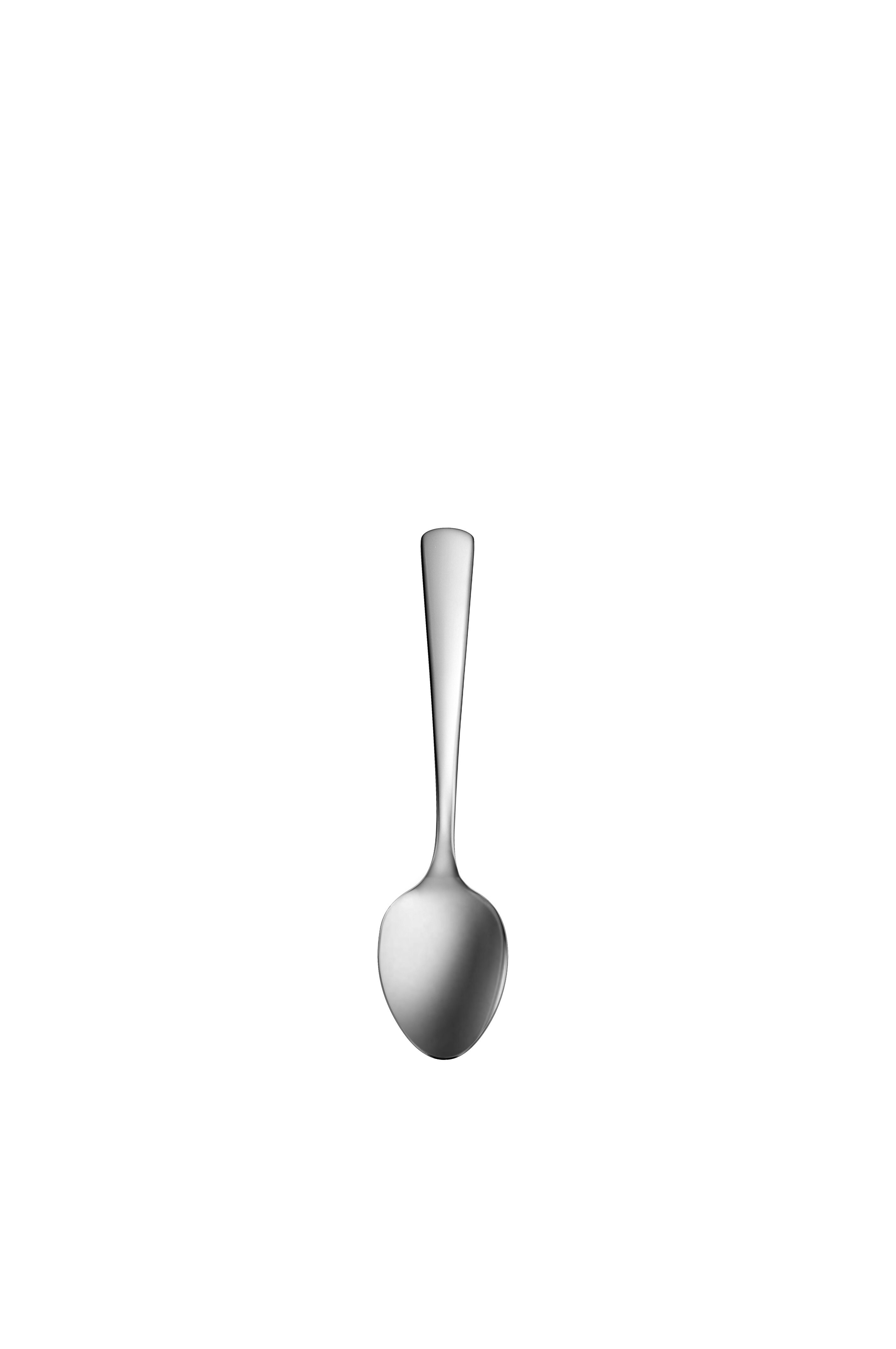 https://assets.wfcdn.com/im/16274164/compr-r85/1125/112506687/oneida-aptitude-flatware-teaspoon-set-180-stainless-steel.jpg