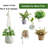 Chyvonne Plant Hanger