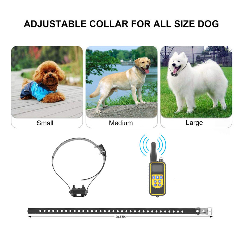 Dog Training Collar