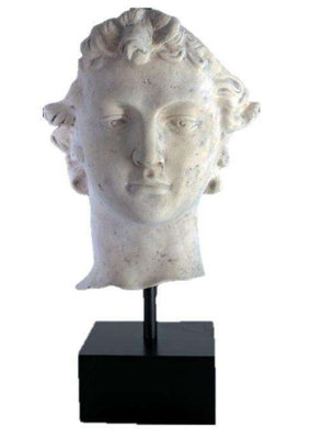 David Head Life Size Statue