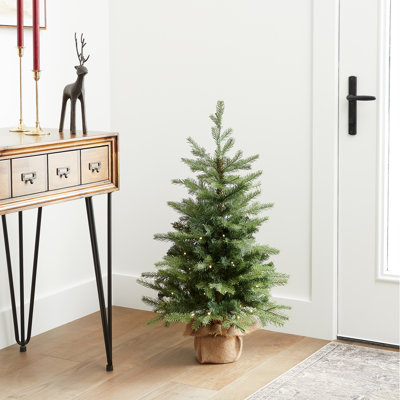 Nordic 3' Pre-Lit Spruce Christmas Tree