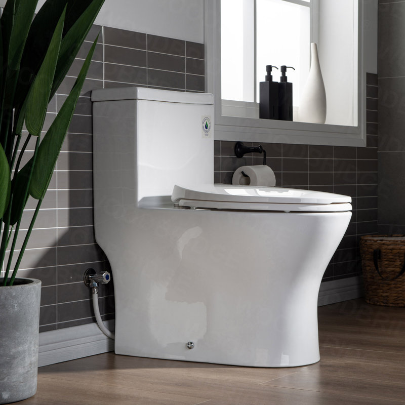 Toilette allongée une pièce à double chasse 1,28 GPF avec siège à fermeture douce, chasse d'eau 1000G, Chrome