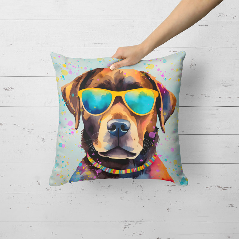 Other/No Pattern Outdoor Throw Pillow