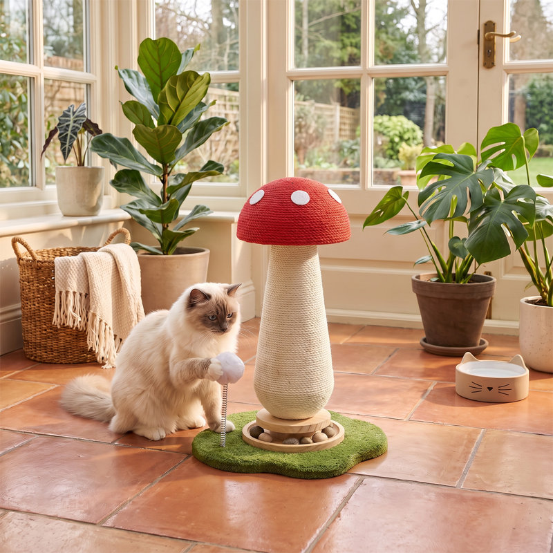 52 cm H Cat Tree / Condo