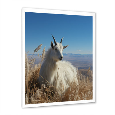 White Solitary Grazing Goat - Goat Animal Wall Art