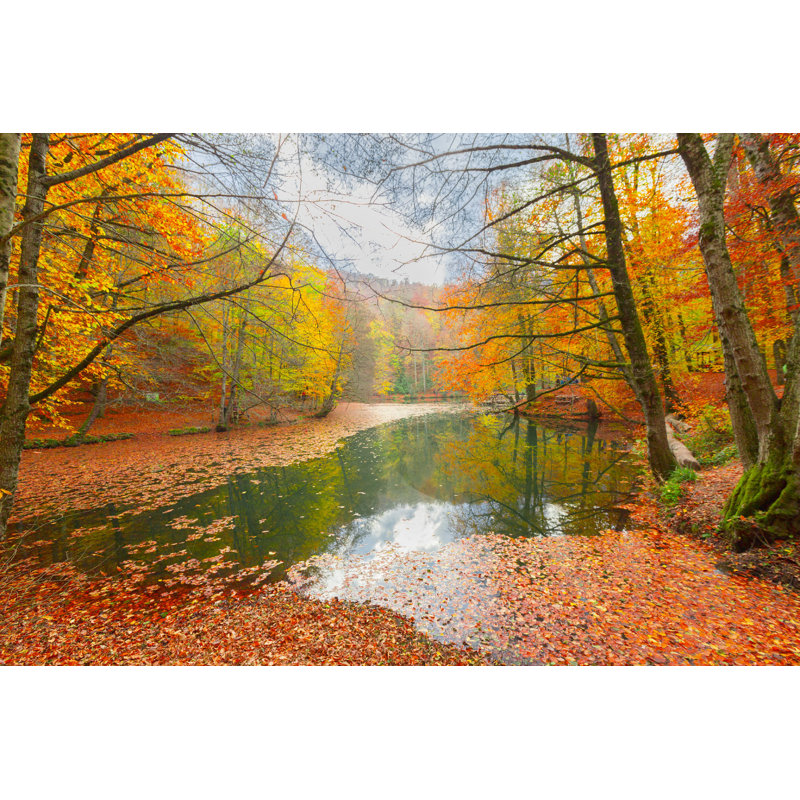 Parc national Yedigoller, L 12 po x H 8 po