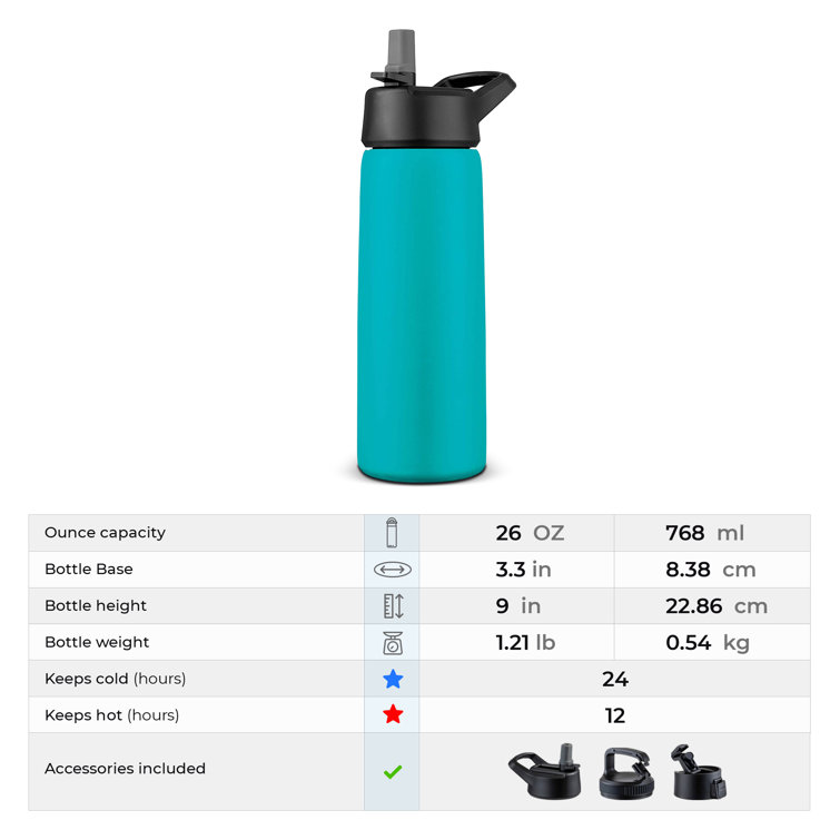 https://assets.wfcdn.com/im/16275307/resize-h755-w755%5Ecompr-r85/1666/166680450/OSTO+26oz.+Insulated+Stainless+Steel+Travel+Tumbler.jpg