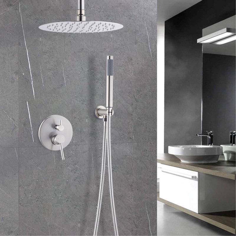 Pomme de douche 10 pouces et unité portable en nickel brossé pour une décoration confortable dans la salle de bain