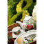 Pomona 6 Piece Dinner Plates Set