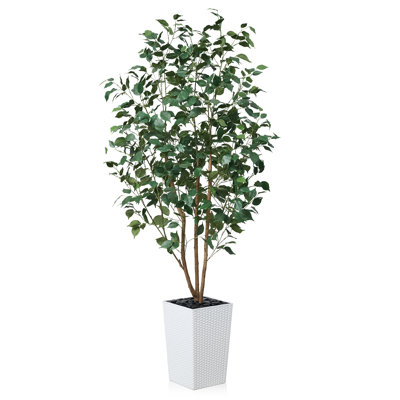 Almont UV Protected Artificial Ficus Tree with Decorative Base, Faux Ficus Plant with Natural Trunk