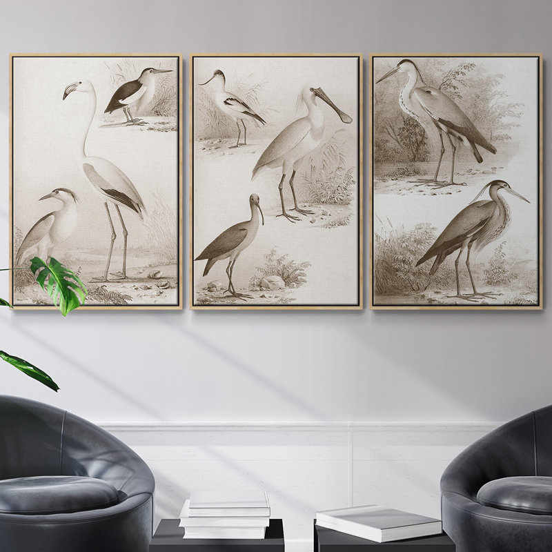 Oiseaux d'eau sépia I, ensemble de 3 toiles encadrées, Naturel, H 27 po x l 54 po