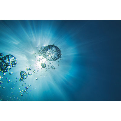 Underwater Sea - Wrapped Canvas Print