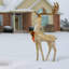 The Holiday Aisle® 55 in. Crystal Champagne Standing Buck with LED Lights