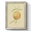 Dappled Oranges - Reproduction de photo sur toile-1211563869