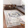 Bracamonte Oriental Indoor Rug