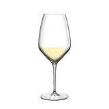 Luigi Bormioli Atelier 15.75 oz Riesling White Wine Glasses