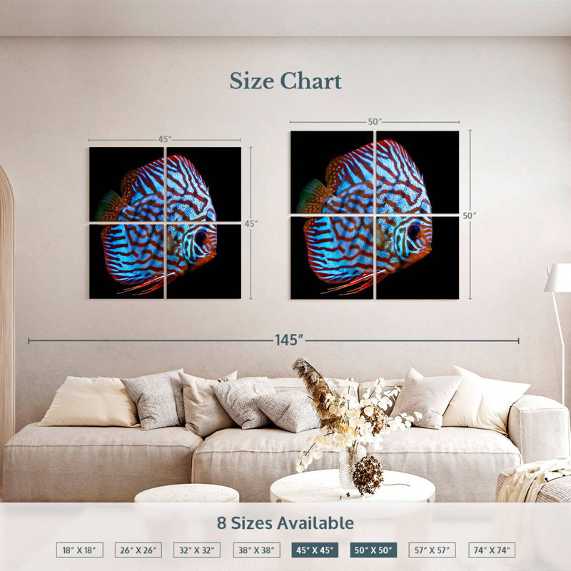 Brampt Aquatic Turquoise Discus Fish, 45" H x 45" W