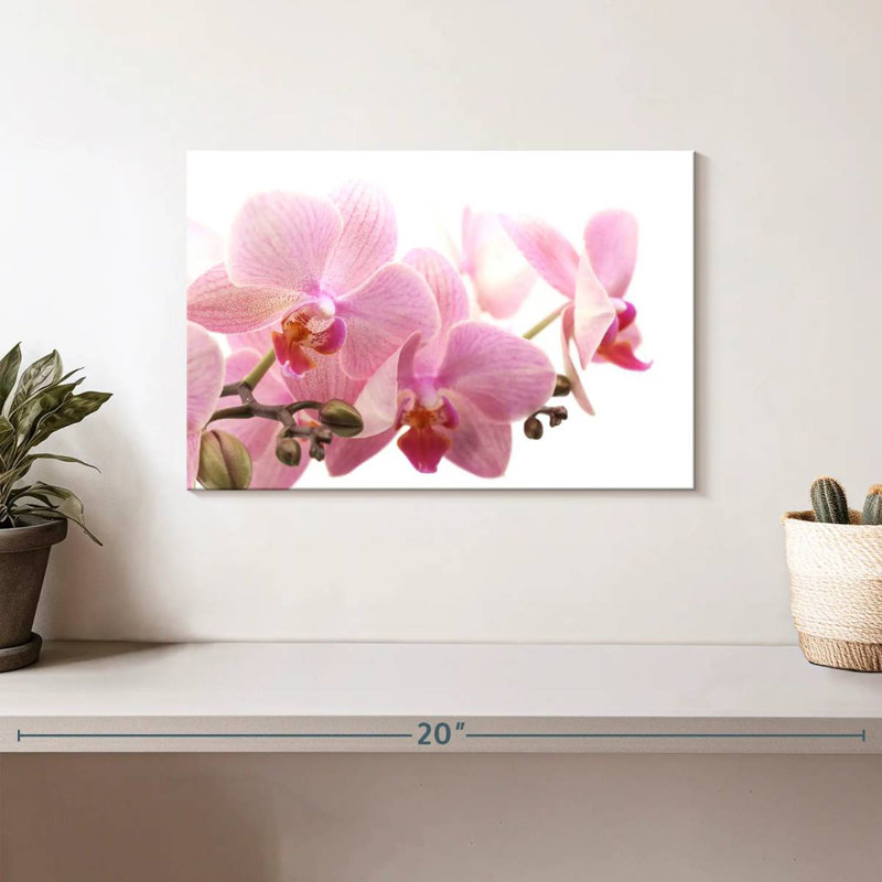 Dreamy Violet Orchids, 8" H x 12" W