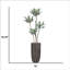 Agave 64,25 po en pot
