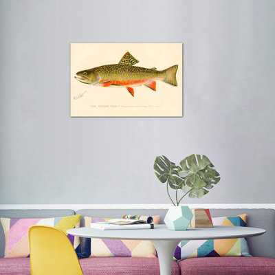 " The Brook Trout "