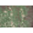 Contemporary Green Abstract Area Rug 4x6 Ft Handmade Oriental Wool Carpet
