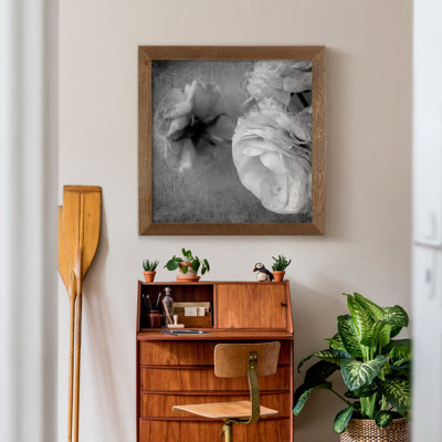 Renoncule foncé II - cadre photo