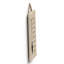 Witch Sweep Sweep Wooden Plaque-2116090938-2116090939