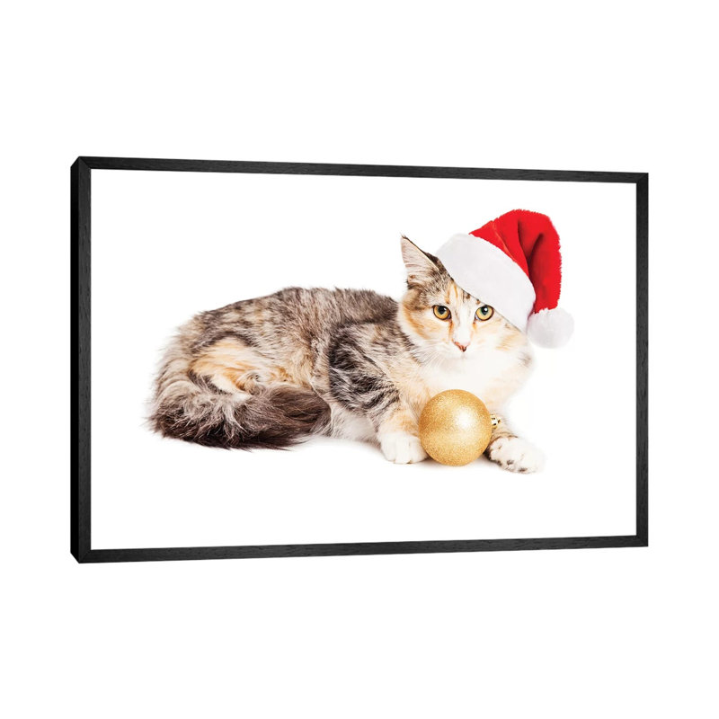 Cute Christmas Calico Kitten by Susan Schmitz - Print on Canvas, 66.04cm H x 101.6cm W x 3.81cm D, Black Floater Framed