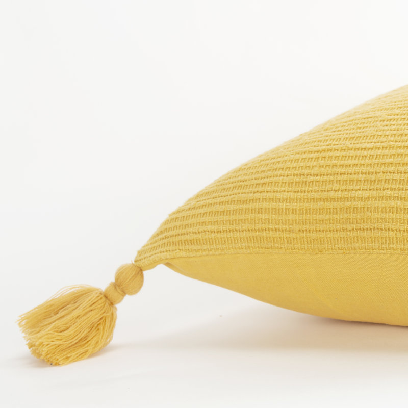 Tassels Throw Pillow